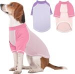 2 Pack Dog T-Shirt with Raglan Sleeves, PinkPurple, X-Large Cozy Dog Summer Shirt, Bright Color Blue Green for Medium Dog Boys, Suitable for Home Stay, Walking, Outdoor Activities, XL