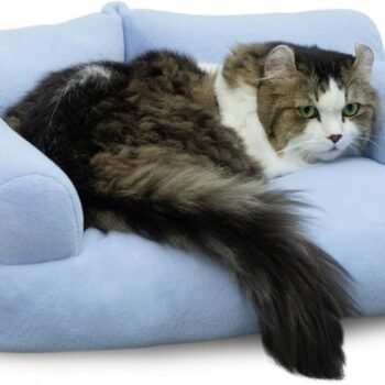Pet Sofa Soft  Pet Sofa Beds for Medium Small Cats and Dogs, Light Blue