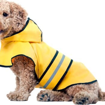 Yellow Dog Rain Jacket With Hood, Reflective Strip for Safety, Leash Hole & Adjustable Velcro Belly Strap, 100% Polyester Water Resistant Pet Raincoat - Small, 9in Long