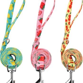 3 Pack Fruit Design Nylon Dog Leashes Strong & Durable Basic Dog Leash with Easy to Use Collar Hook for Large Dogs, L (4FT,1")