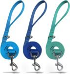 3 Pack Nylon Dog Leashes,Strong & Durable Basic Style Leash with Easy to Use Collar Hook,Available in Multiple Lengths for Puppy Small Dogs, Royal Blue/Blue/Green